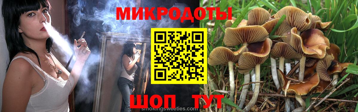 Псилоцибиновые грибы мухоморы Новороссийск